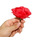 fiammifero a rosa,giochi di prestigio,trucchi magia
