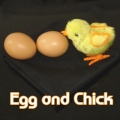 Produzione uova e pulcino,giochi di prestigio