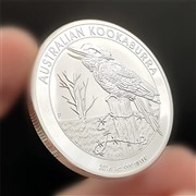 Riproduzione moneta Australia 2015 kookaburra colore argento