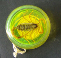 Yoyo stinger giallo